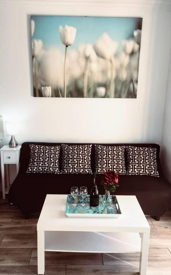 Apartment Puerto Banus Near Beachfront, Sunny Terrace, Pool, Tennis Court, Parking And Movies Projector Marbella